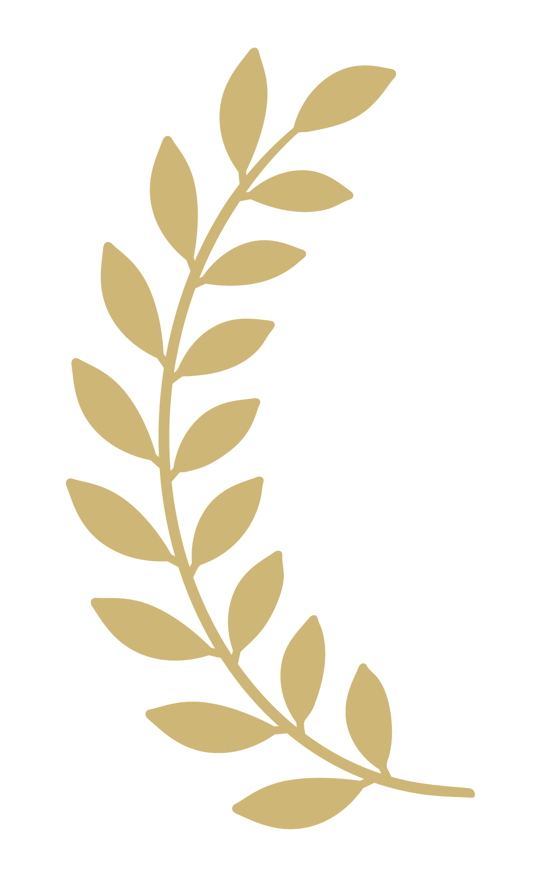 Laurel