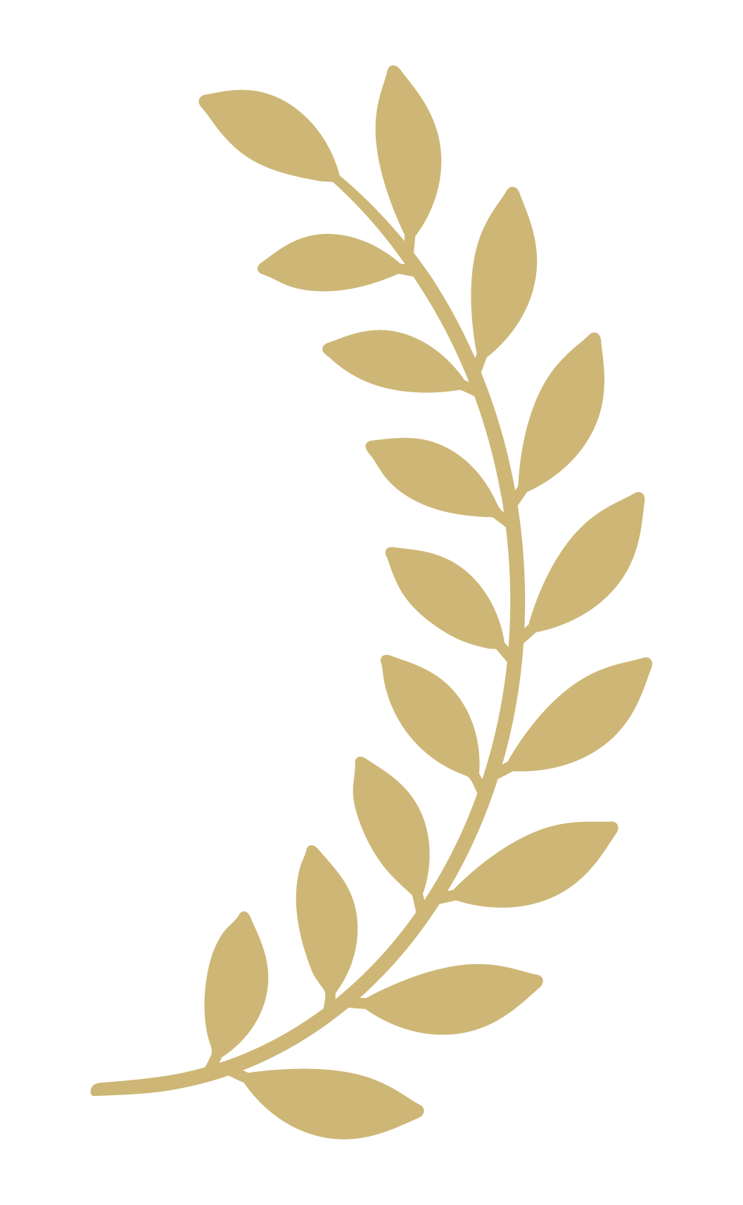 Laurel